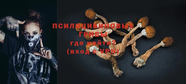 ГАЛЛЮЦИНОГЕННЫЕ ГРИБЫ Переславль-Залесский