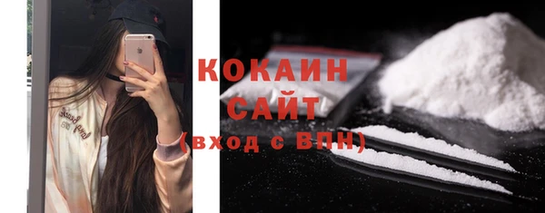 молекула духа Пересвет