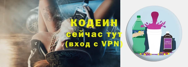 молекула духа Пересвет