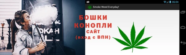 ГАЛЛЮЦИНОГЕННЫЕ ГРИБЫ Переславль-Залесский