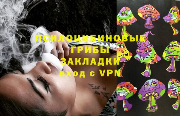 молекула духа Пересвет