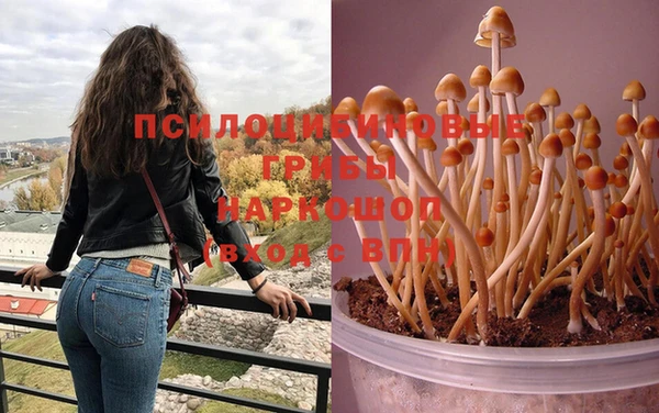 прущий лед Мурманск