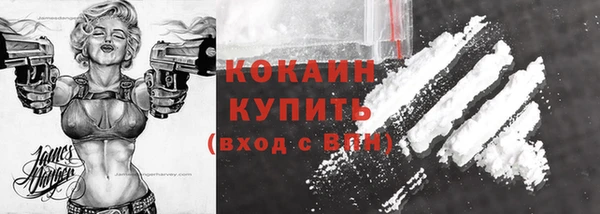 ГАЛЛЮЦИНОГЕННЫЕ ГРИБЫ Переславль-Залесский