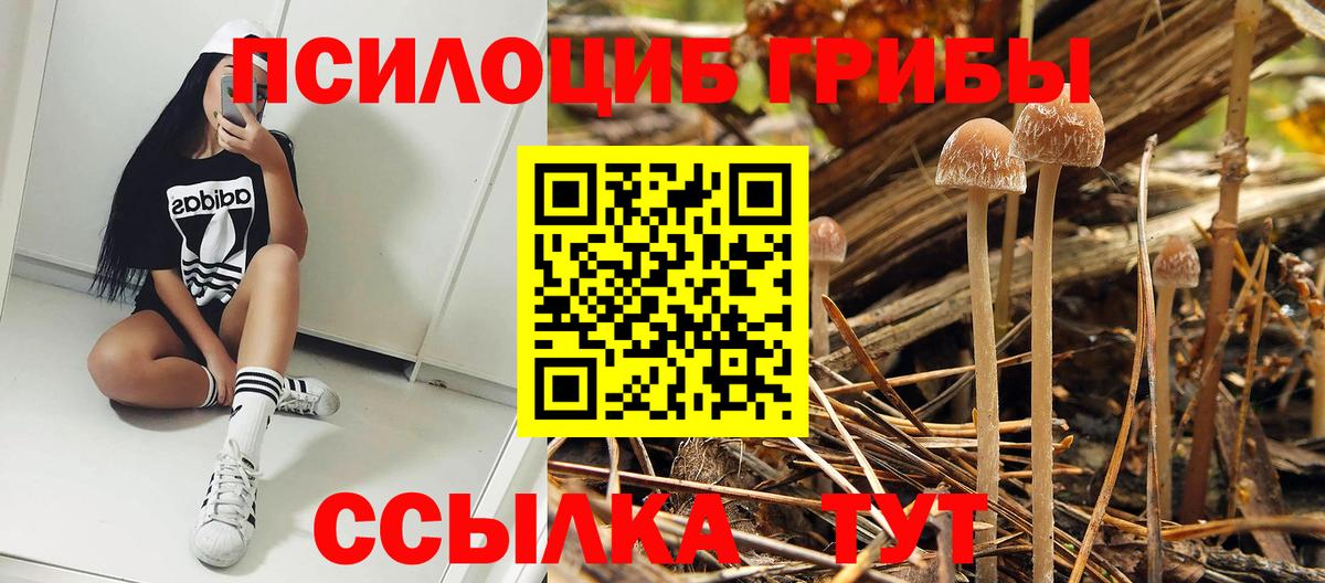Псилоцибиновые грибы мухоморы Усолье-Сибирское