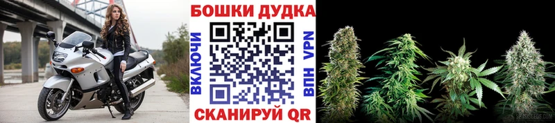 Каннабис план  закладка  Усолье-Сибирское 
